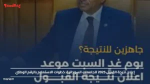 إعلان نتيجة القبول 2025 للجامعات السودانية.. خطوات الاستعلام بالرقم الوطني